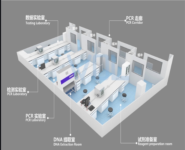 潔凈實驗室建設